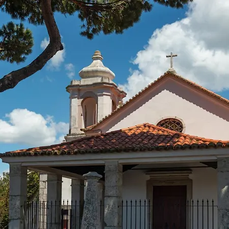 Appartement With Private Terrace 250m To Largo Intendente