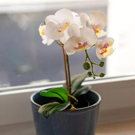 Apartment With Private Terrace 250m To Largo Intendente *